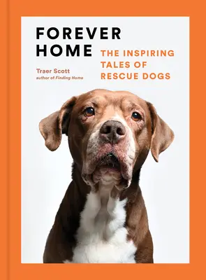 Navždy doma: Inšpirujúce príbehy záchranárskych psov - Forever Home: The Inspiring Tales of Rescue Dogs