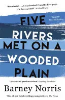Päť riek sa stretlo na zalesnenej planine - Five Rivers Met on a Wooded Plain
