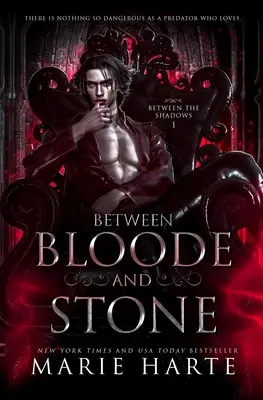Medzi krvou a kameňom - Between Bloode and Stone