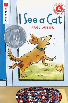 Vidím mačku - I See a Cat