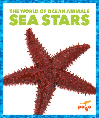 Morské hviezdy - Sea Stars