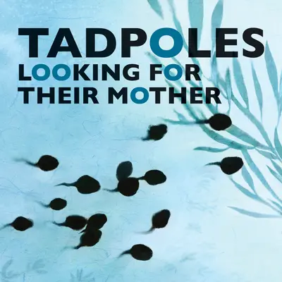Kŕdle hľadajú svoju matku - Tadpoles Looking for Their Mother