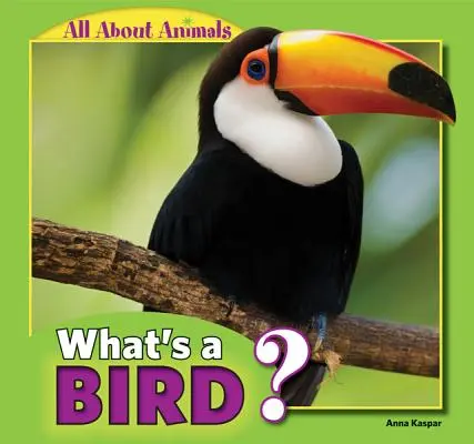 Čo je to vták? - What's a Bird?