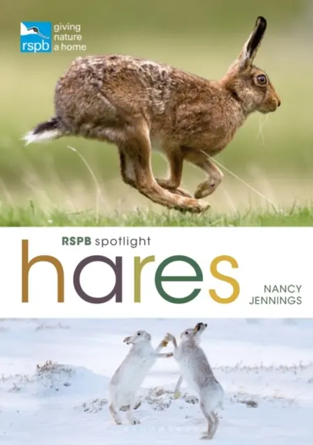 Zajace v centre pozornosti RSPB - RSPB Spotlight Hares
