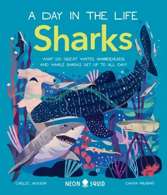 Žraloky (deň v živote): Čo robia veľký biely, kladivohlavý a veľrybí žralok celý deň? - Sharks (a Day in the Life): What Do Great Whites, Hammerheads, and Whale Sharks Get Up to All Day?