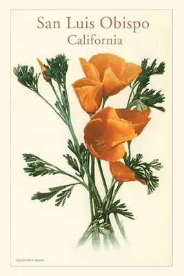 Vintage Journal San Luis Obispo, Kalifornia Maky - The Vintage Journal San Luis Obispo, California Poppies