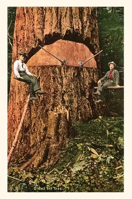 Vintage Journal Obrovská jedľa - Vintage Journal Giant Fir Tree