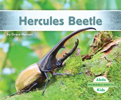 Chrobák Herkules - Hercules Beetle