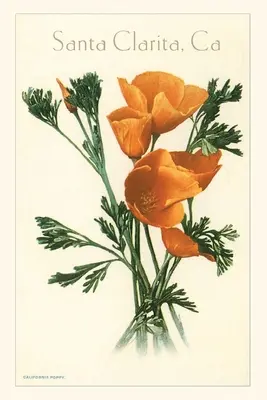 Vintage Journal Kalifornský mak, Santa Clarita - The Vintage Journal California Poppy, Santa Clarita