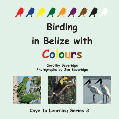 Vtáctvo v Belize s farbami - Birding in Belize with Colours