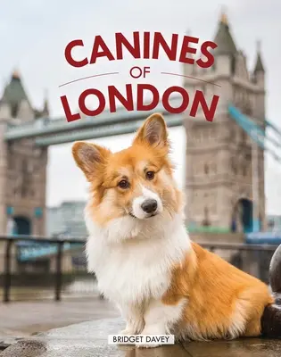 Psy Londýna (Fotografovanie psov, darček pre milovníkov psov) - Canines of London (Dog Photography, Dog Lovers Gift)
