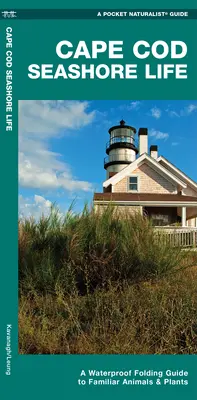 Život na pobreží Cape Cod - Vodotesný skladací sprievodca známymi živočíchmi a rastlinami - Cape Cod Seashore Life - A Waterproof Folding Guide to Familiar Animals & Plants