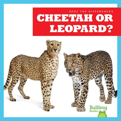Gepard alebo leopard? - Cheetah or Leopard?