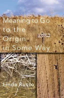Význam ísť nejakým spôsobom na pôvod - Meaning to Go to the Origin in Some Way
