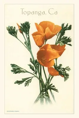 The Vintage Journal Maky, Topanga, Kalifornia - The Vintage Journal Poppies, Topanga, California