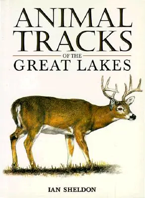 Stopy zvierat na Veľkých jazerách - Animal Tracks of the Great Lakes