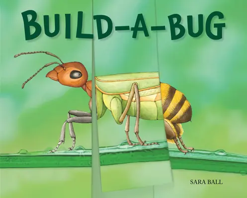 Zostav si chrobáka - Build-A-Bug