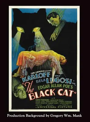 Čierna mačka (Hardback) - The Black Cat (Hardback)