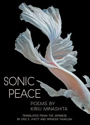 Sonický mier - Sonic Peace