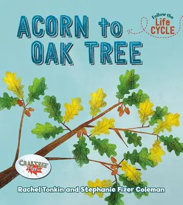 Od žaluďa k dubu - Acorn to Oak Tree