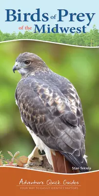 Dravé vtáky stredozápadu: Vaša cesta k jednoduchému určovaniu dravcov - Birds of Prey of the Midwest: Your Way to Easily Identify Raptors