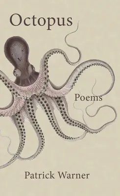 Chobotnica - Octopus
