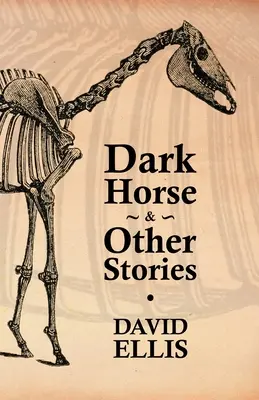 Temný kôň a iné príbehy - Dark Horse & Other Stories