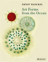 Umelecké formy z oceánu: Rádiolaristické odtlačky Ernsta Haeckela - Art Forms from the Ocean: The Radiolarian Prints of Ernst Haeckel