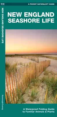 Život na pobreží Nového Anglicka - vodotesný skladací sprievodca známymi živočíchmi a rastlinami - New England Seashore Life - A Waterproof Folding Guide to Familiar Animals & Plants
