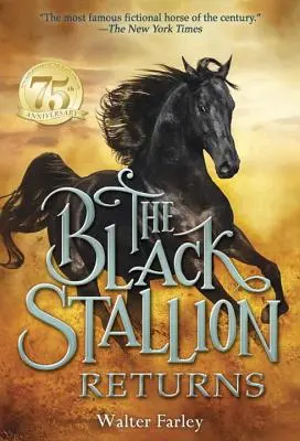 Čierny žrebec sa vracia - The Black Stallion Returns