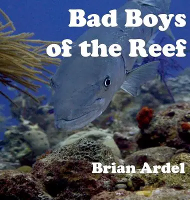 Zlí chlapci z útesu - Bad Boys of the Reef