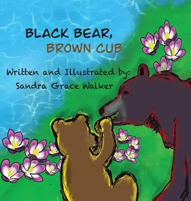 Čierny medveď, hnedé mláďa - Black Bear, Brown Cub