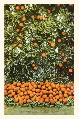 Vintage Journal Pomarančový háj - The Vintage Journal Orange Grove