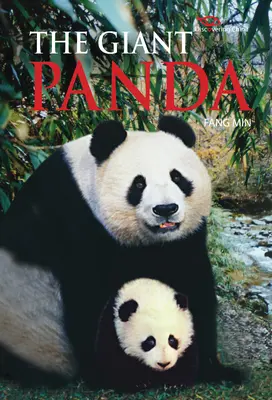 Panda veľká - objavovanie Číny - Giant Panda - Discovering China