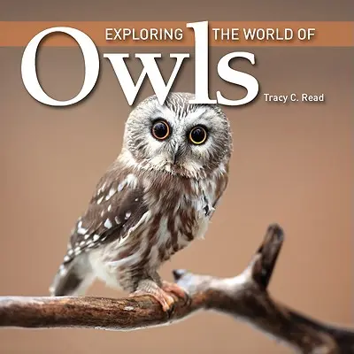 Skúmanie sveta sov - Exploring the World of Owls