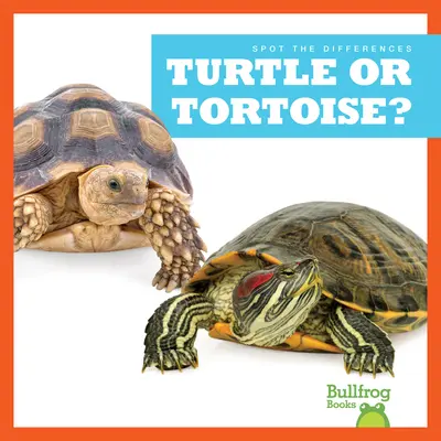 Želva alebo korytnačka? - Turtle or Tortoise?
