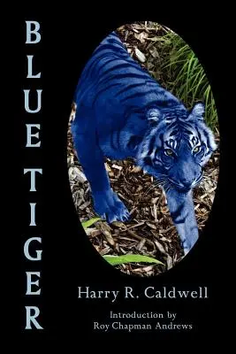 Modrý tiger - Blue Tiger