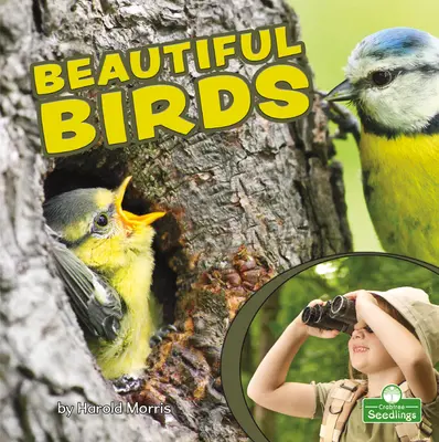Krásne vtáky - Beautiful Birds
