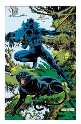 Čierny panter: Panther's Quest - Black Panther: Panther's Quest