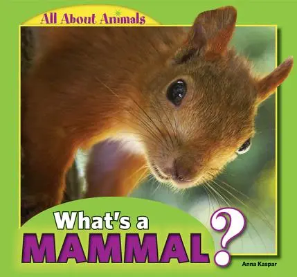 Čo je to cicavec? - What's a Mammal?