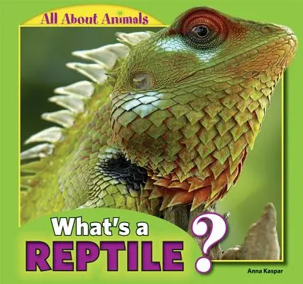 Čo je plaz? - What's a Reptile?