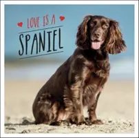 Láska je španiel - Psí oslava najroztomilejšieho plemena na svete - Love is a Spaniel - A Dog-Tastic Celebration of the World's Most Lovable Breed