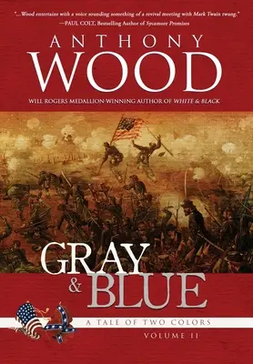 Šedá a modrá: Román o občianskej vojne - Gray & Blue: A Novel of the Civil War