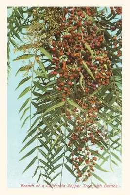 Vintage Journal Kalifornské bobule papriky - The Vintage Journal California Pepper Berries