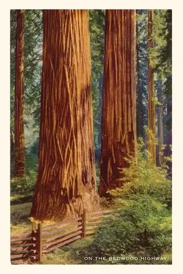 Vintage Journal Obrovské sekvoje - The Vintage Journal Giant Redwoods