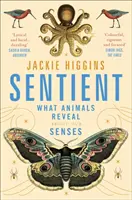 Sentient - Čo nám zvieratá prezrádzajú o ľudských zmysloch - Sentient - What Animals Reveal About Human Senses