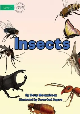 Hmyz - Insects