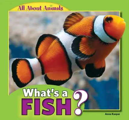Čo je ryba? - What's a Fish?