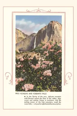 Vintage Journal Divoké azalky v Yosemitoch - The Vintage Journal Wild Azaleas at Yosemite