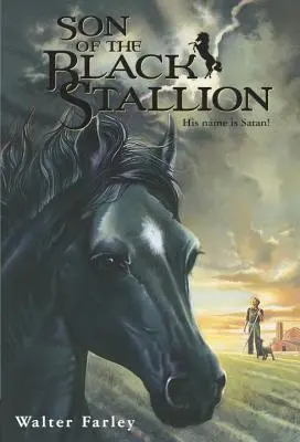 Syn čierneho žrebca - Son of the Black Stallion